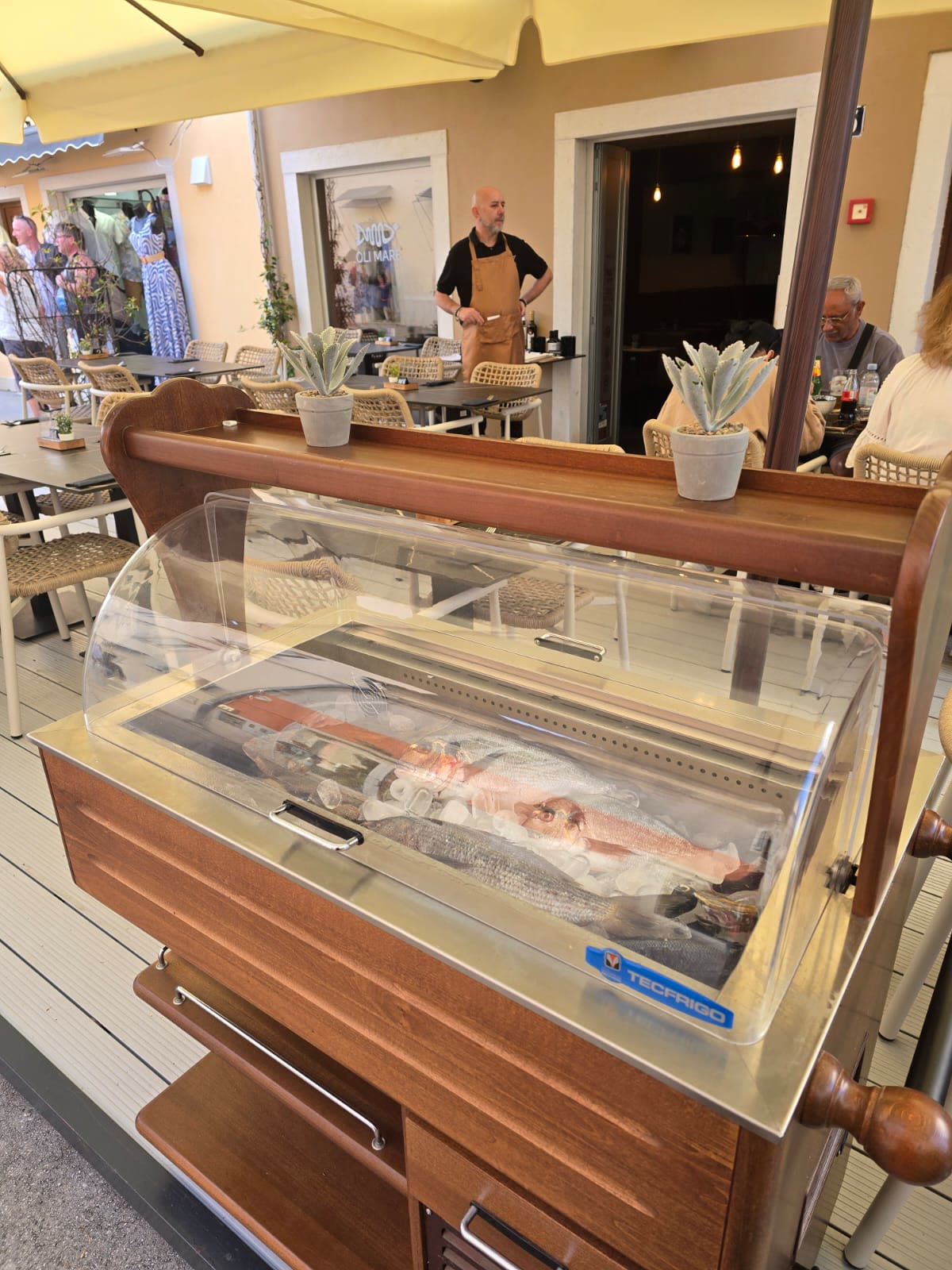Vitrina svježe ribe na terasi – Poreč Vitrina sa svježom ribom na terasi ribljeg restorana Oli Mare Fish & Wine, Poreč | fresh fish display terrace Porec restaurant