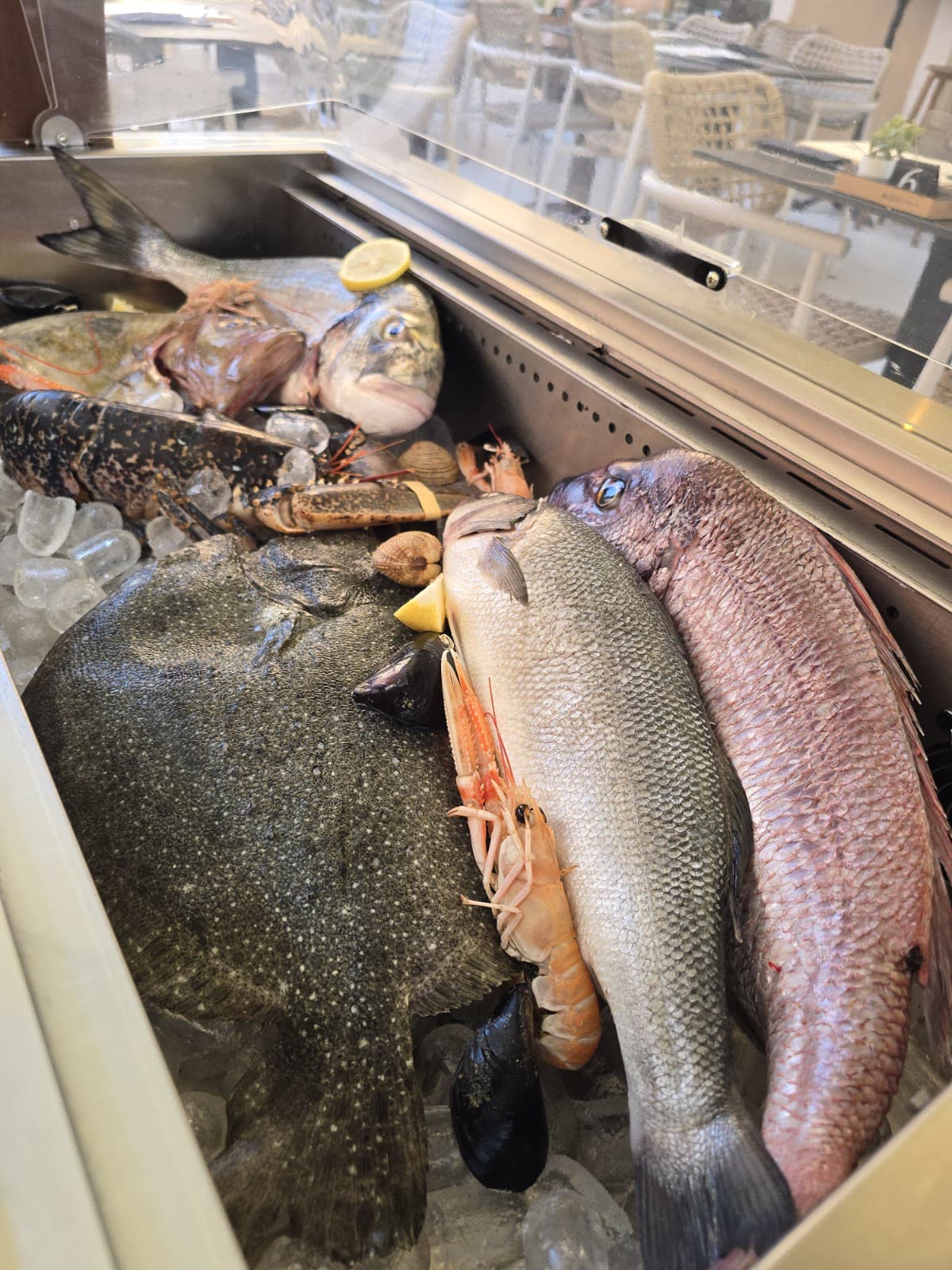 Svježa riba u vitrini – Oli Mare Fish & Wine Poreč Svježa riba u vitrini – zubatac, list, jastog i školjke u ribljem restoranu Oli Mare Poreč | fresh fish display, frischer Fisch, pesce fresco