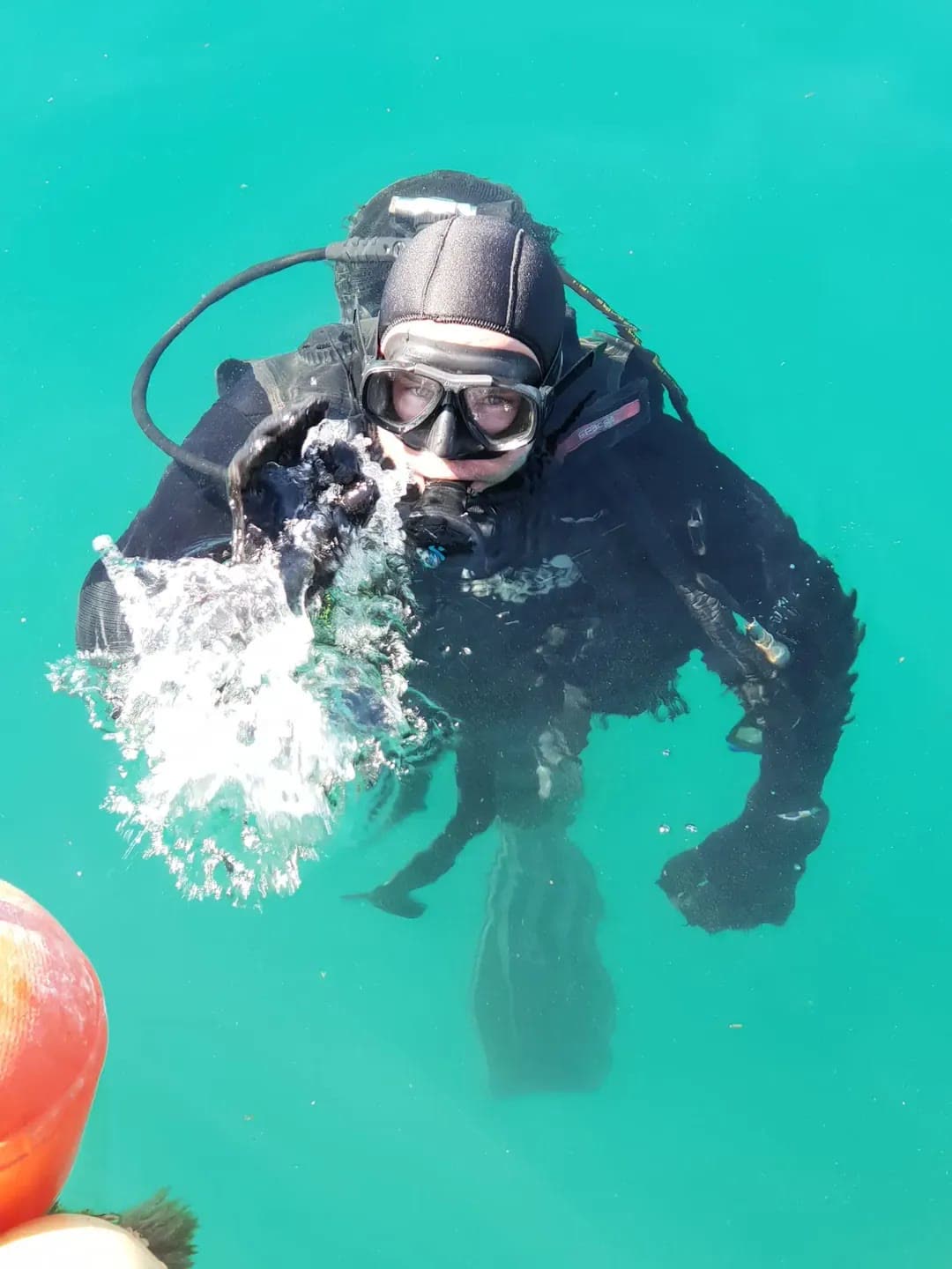 Branje školjki u moru – Poreč Ronilac u bistrom moru kod Poreča vadi svježe školjke za riblji restoran Oli Mare | diver harvesting fresh shellfish Adriatic
