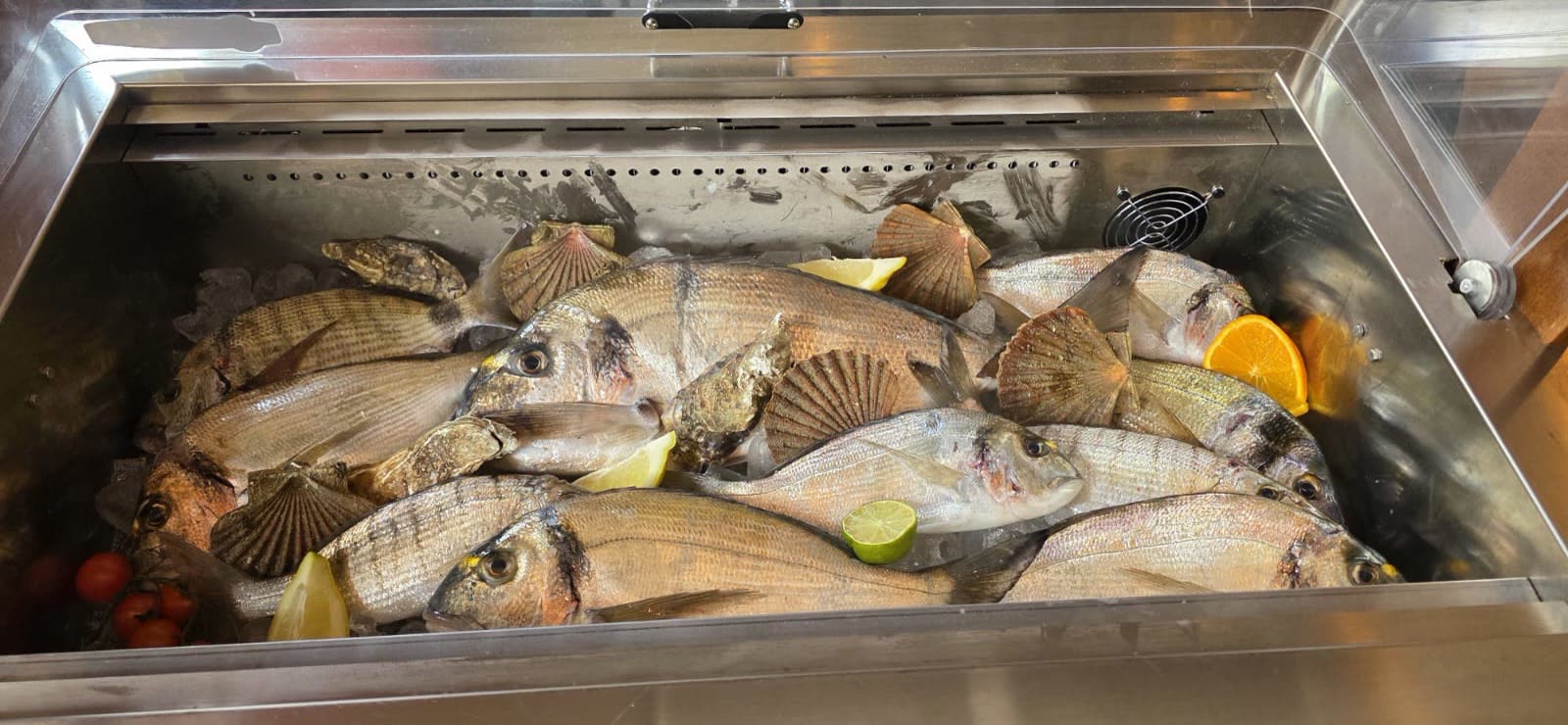 Svježa riba i kapice u vitrini – Poreč Svježe orade i jakobove kapice na ledu u vitrini ribljeg restorana Oli Mare Poreč | fresh sea bream and scallops on ice Porec Istria
