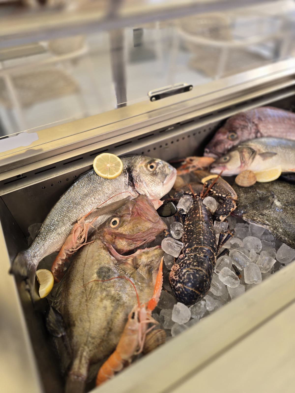 Dnevni ulov u vitrini – Oli Mare Svježa riba, jastog i škampi u rashladnoj vitrini restorana Oli Mare Poreč – dnevni ulov | daily fresh fish display Porec