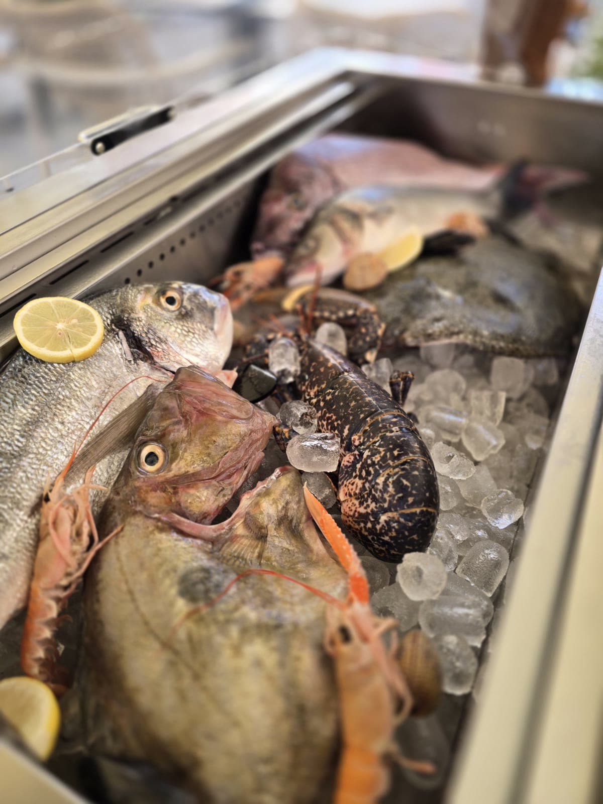 Vitrina s ribom i jastogom – Poreč Vitrina sa svježom ribom, jastogom i škampima na ledu – riblji restoran Oli Mare, Poreč, Istra | fresh fish and lobster display
