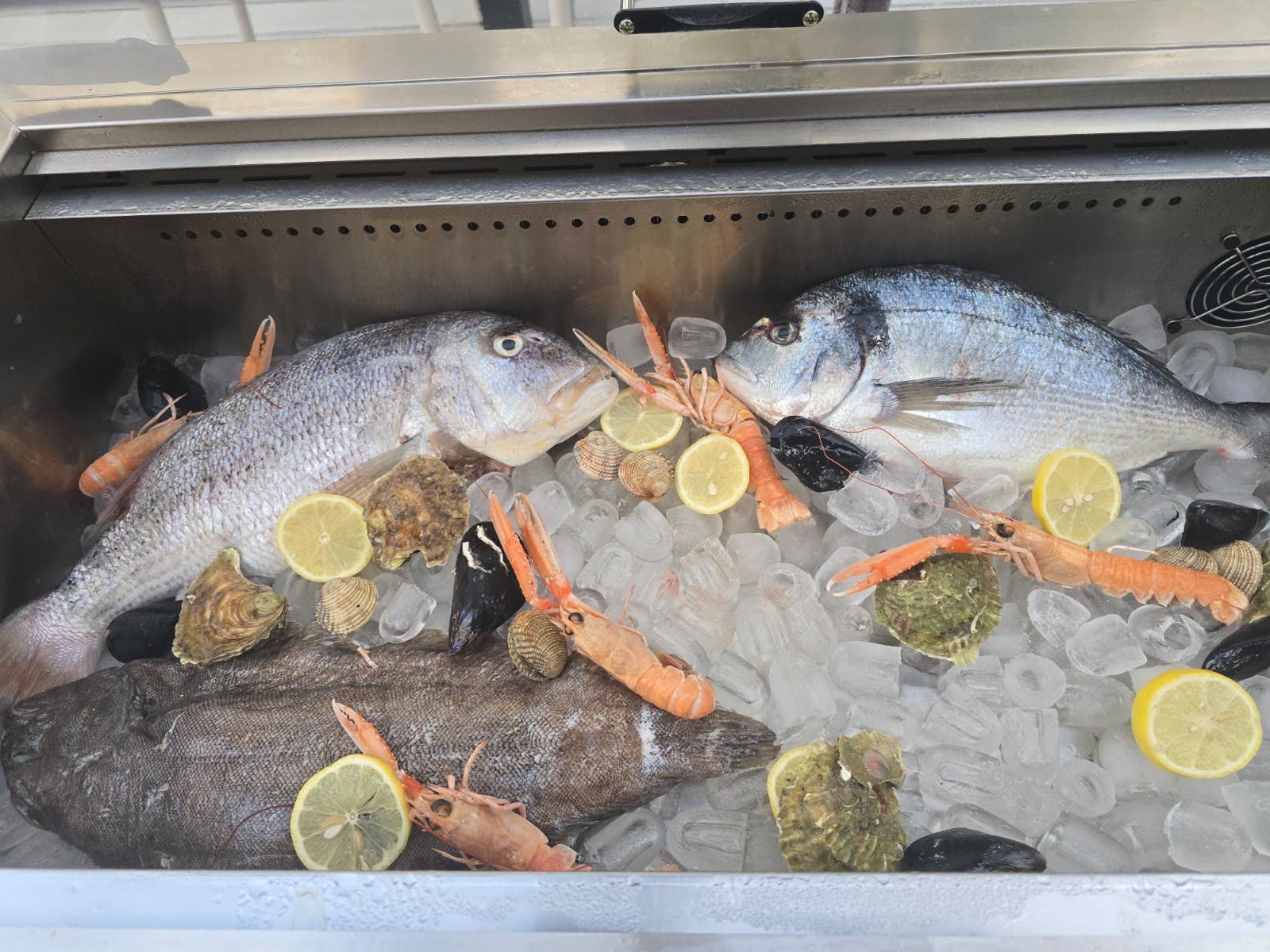 Svježa riba, kamenice i škampi na ledu Svježa riba na ledu – zubatac, orada, kamenice, škampi i školjke u vitrini ribljeg restorana Oli Mare Poreč | fresh fish and oysters on ice
