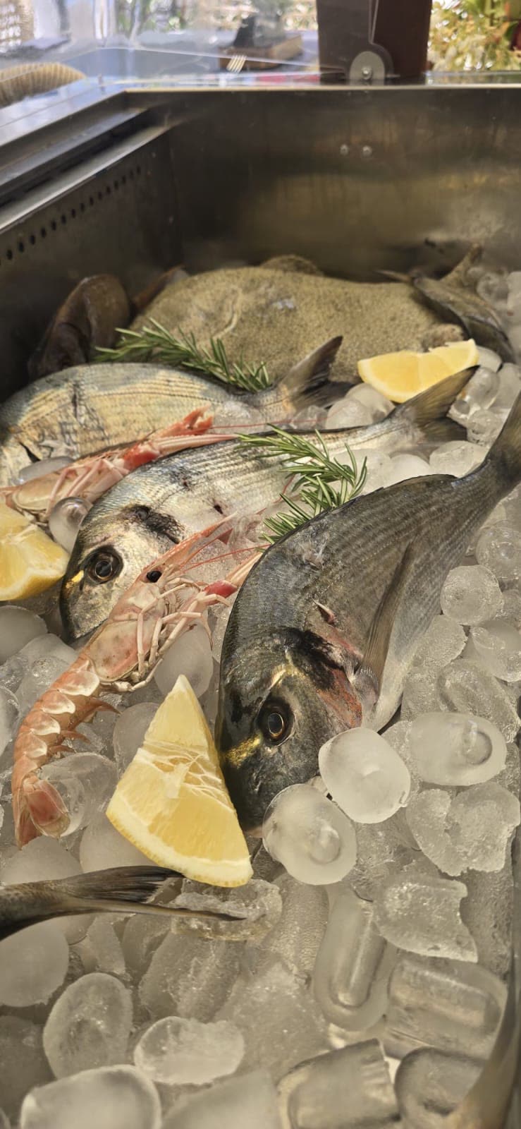 Svježa riba i škampi na ledu – Poreč Svježa riba na ledu sa škampima, limunom i ružmarinom – dnevni ulov Jadrana, Oli Mare Poreč | fresh Adriatic fish and scampi on ice