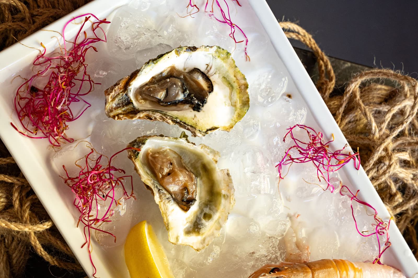 Kamenice iz Limskog kanala – Poreč Svježe kamenice iz Limskog kanala servirane na ledu – riblji restoran Oli Mare Poreč | fresh Lim bay oysters Porec Istria