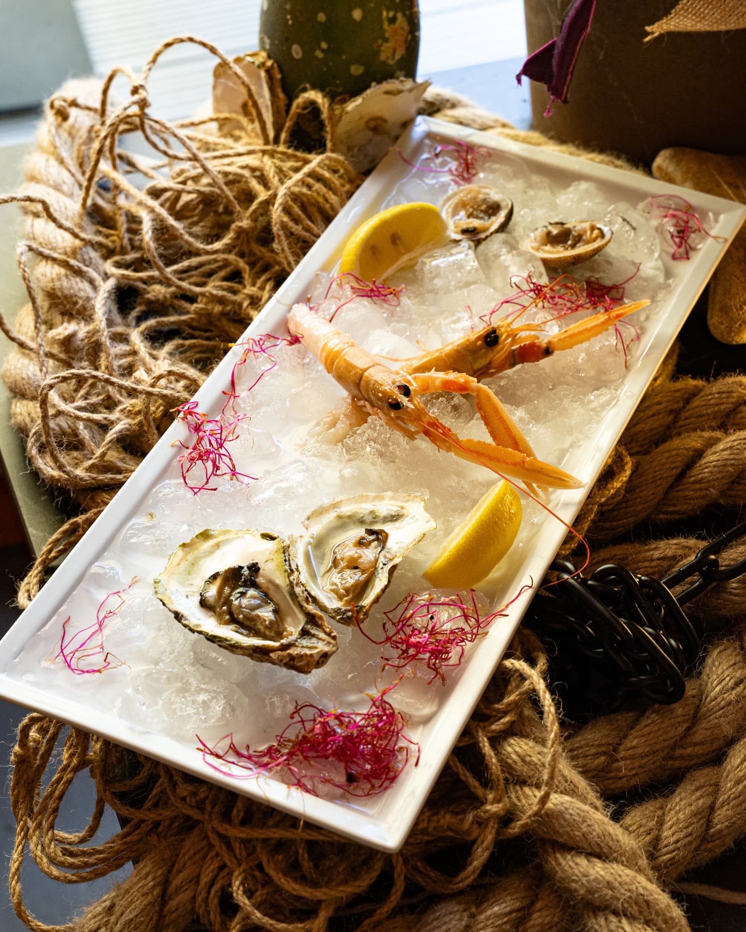 Hladna plata plodova mora – Oli Mare Poreč Plata plodova mora na ledu – svježe kamenice, škampi i školjke u ribljem restoranu Oli Mare Poreč | seafood platter oysters langoustines Porec Istria