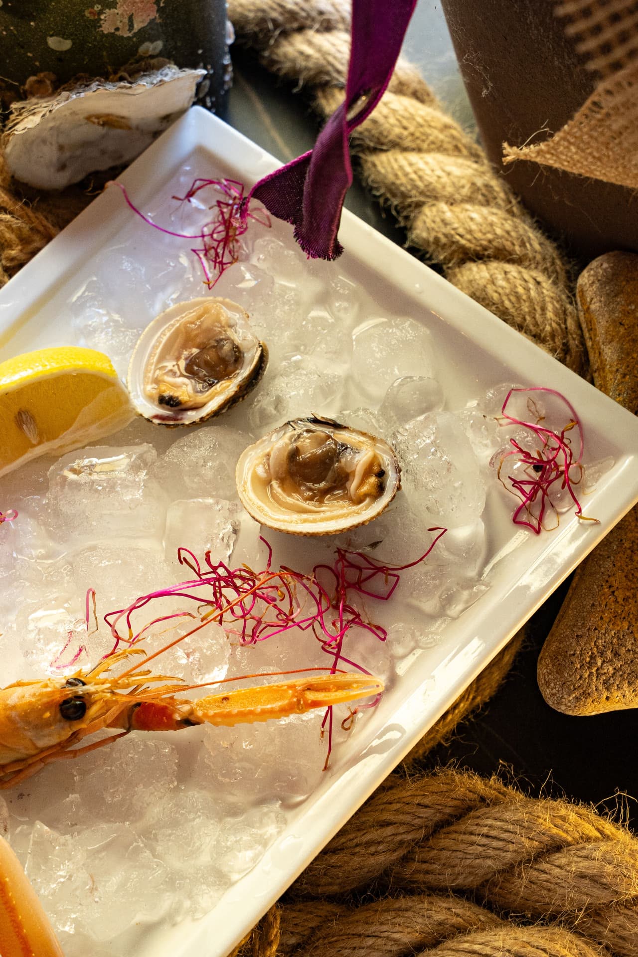 Svježe školjke i škampi – Oli Mare Sirove školjke, kamenice i škamp na ledu – svježi plodovi mora iz vlastitog uzgoja, Oli Mare Poreč | raw shellfish platter Istria Croatia