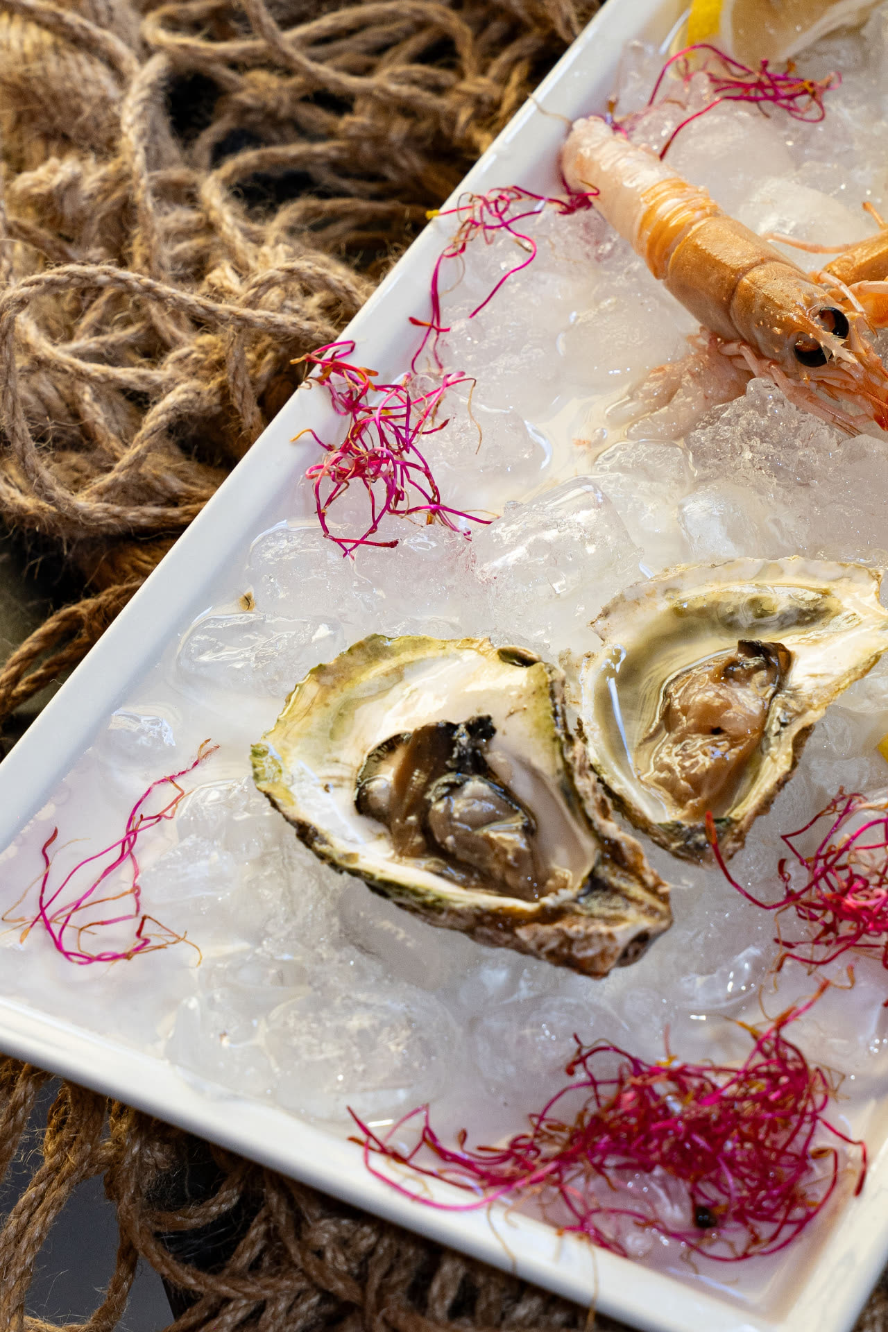 Kamenice i škampi na ledu – Poreč Svježe kamenice i škampi na ledu – specijalitet ribljeg restorana Oli Mare, Bože Milanovića 25, Poreč | fresh oysters and scampi Porec